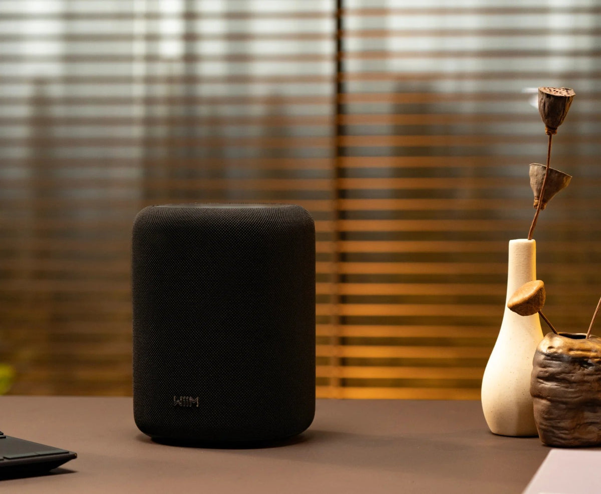 BigPurplePhone WiiM Sound Lite Smart Speaker